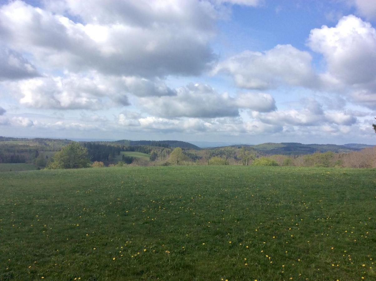 Blockhaeuser Fewo3 Harzblick Leilighet Braunlage Eksteriør bilde